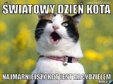 Dzień Kota. W Internecie koty rządzą nie od dziś. Zobaczcie najlepsze memy z kotami 2022