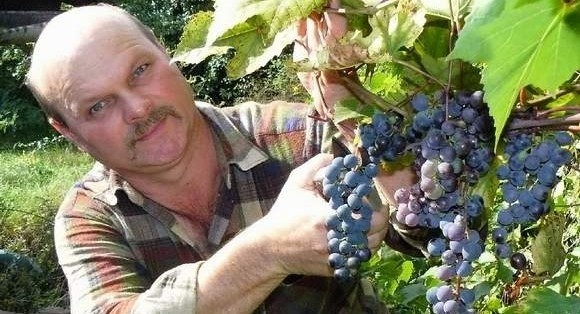 - Celem zlotu jest popularyzacja upraw winnej latorośli i produkcji domowego wina - mówi Tadeusz Dobek z Radgoszczy pod Międzychodem.