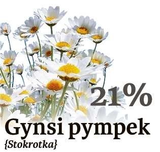 2.  Gynsi pympek (stokrotka)...