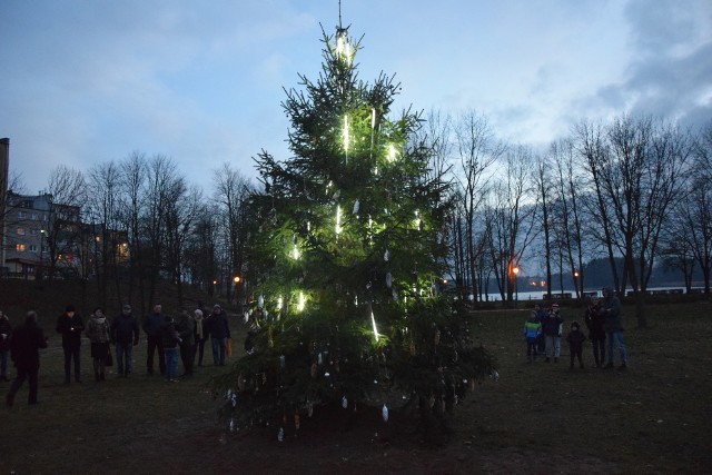 W suchedniowskim parku stanęła po raz pierwszy miejska choinka. W piątek zapalono iluminacje na drzewku.