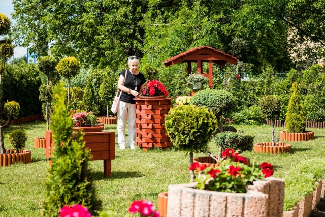 Każdego roku w konkursie "Bydgoszcz w kwiatach i zieleni bierze udział około 150-200 mieszkańców. Na zdjęciu: ogród Wspólnoty Mieszkaniowej Szubińska 22.