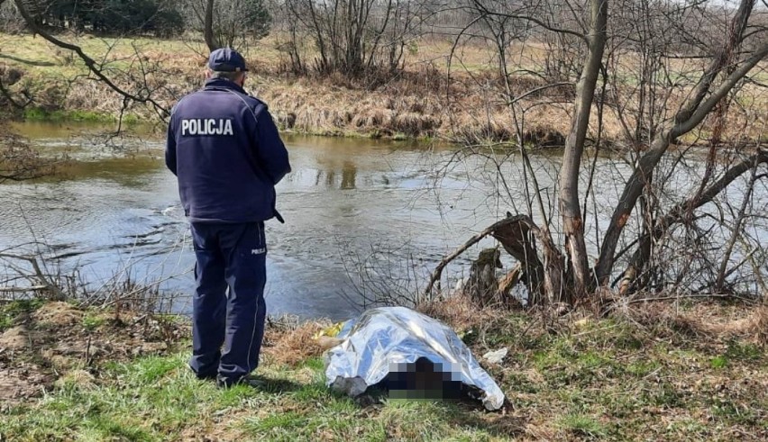 Zwłoki kobiety wyłowione z rzeki Pilicy, ciało zauważył wędkarz. Policja zatrzymała partnera kobiety