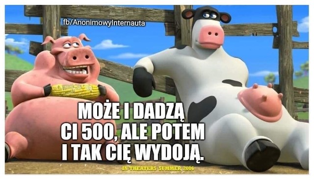 Reakcja internetu na dopłaty dla rolników: Krowa plus i świnia plus. Zobacz memy w galerii na kolejnych slajdach.