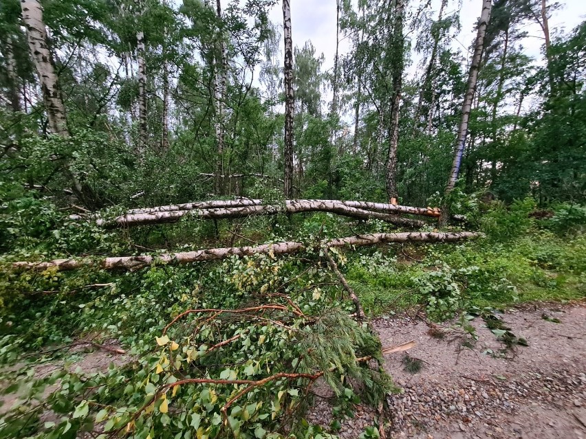Olbrzymie straty w Radomiu i w regionie po nawałnicy i całonocnej burzy: zalane piwnice, powalone drzewa, uszkodzone domy [RAPORT, ZDJĘCIA]