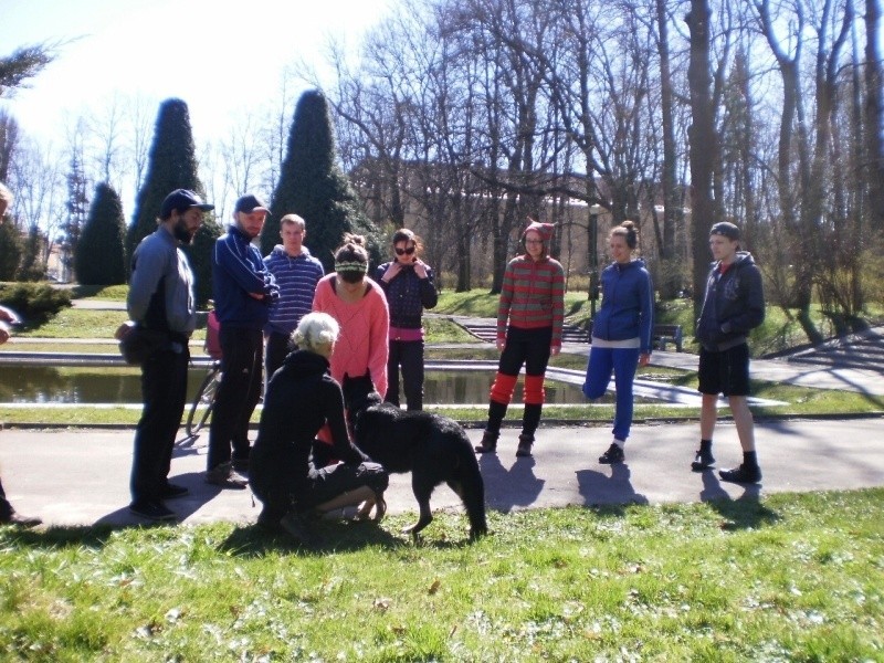 Tydzień Weganizmu. Bieg w parku Planty (zdjęcia, wideo)