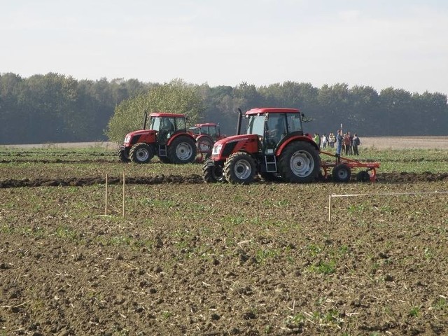 Rolnicy spodziewają się dobrych plonów