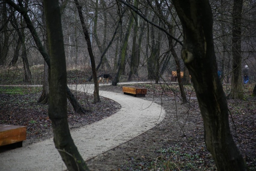 Kraków. Mieszkańcy narzekają na zabetonowaną oazę zieleni nad Wilgą [ZDJĘCIA]