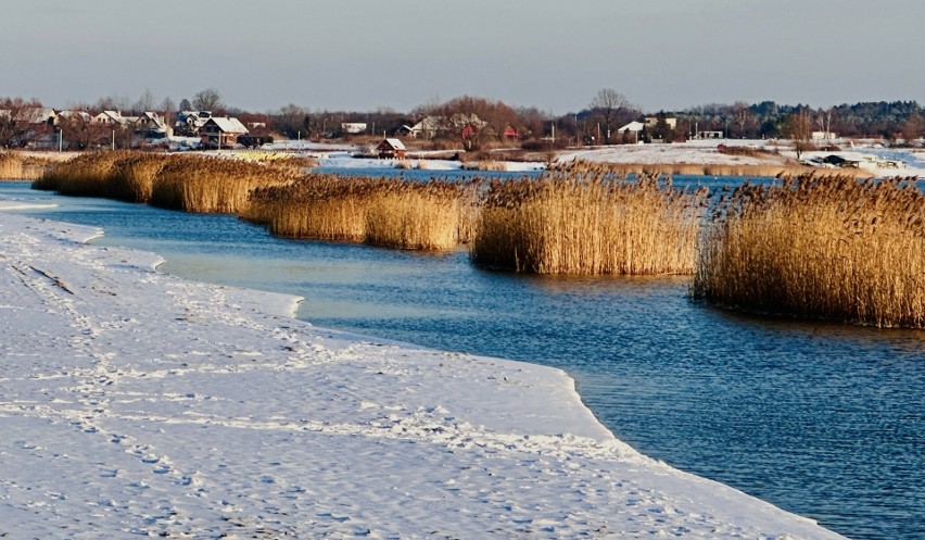 Jezioro Tarnobrzeskie zimą zachwyca. Śnieg skrzy się w słońcu, woda i biała plaża wygląda malowniczo. Zobacz zdjęcia