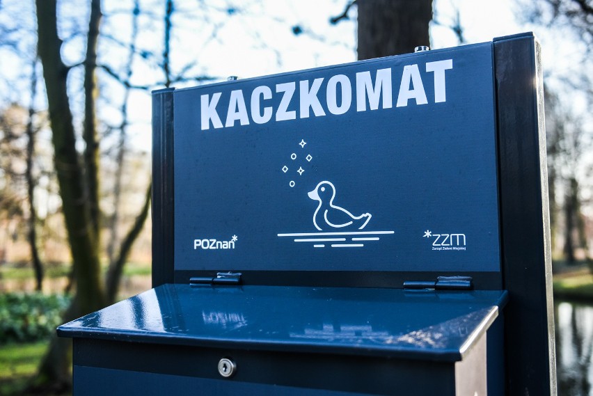 Pierwszy kaczkomat w poznańskim parku