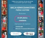 Przychodnia Weterynaryjna Miłozwierz zaprasza na akcję krwiodawstwa psów i kotów