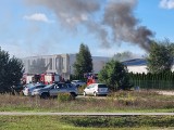 Pożar w lakierni w Osielsku opanowany. Osiem zastępów straży pożarnej walczyło z ogniem