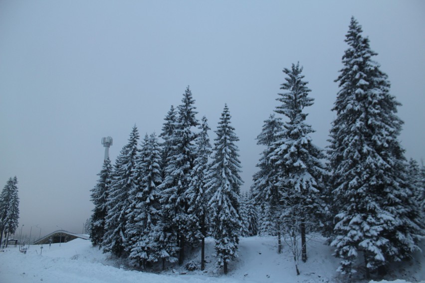 Zima na Dolnym Śląsku ma się znakomicie. Tak wyglądają obecnie okolice Jakuszyc [ZDJĘCIA]