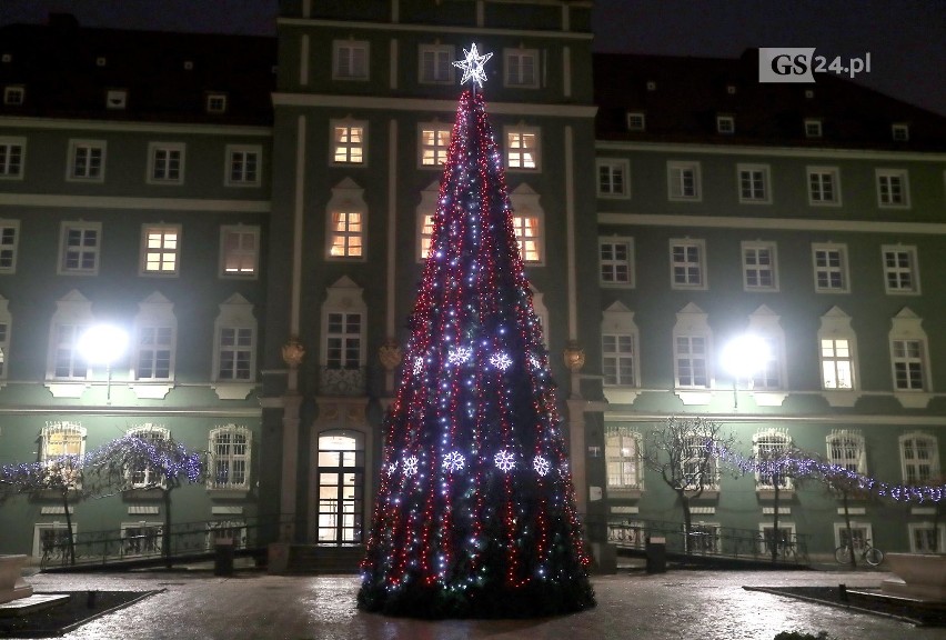 Choinka przed szczecińskim urzędem ma ponad 12 metrów...