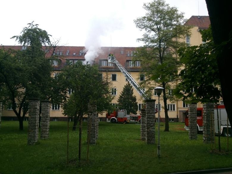 Wrocław: Pożar w kampusie Uniwersytetu Wrocławskiego (ZDJĘCIA)