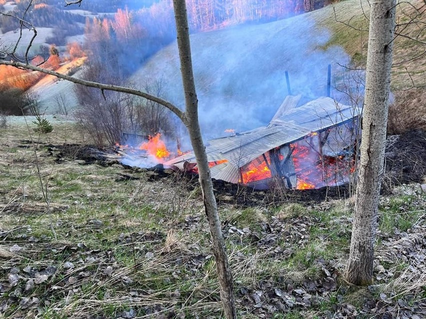 Pożar drewnianej koleby w Ochotnicy Górnej. Straż pożarna prosi o pomoc