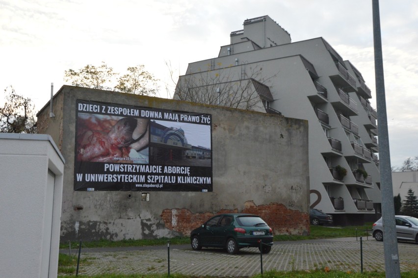 Zdjęcia zakrwawionych płodów pojawiają się we Wrocławiu. Legalnie?