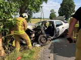 Tragiczny wypadek pod Włocławkiem. Opel uderzył w drzewo [zdjęcia]