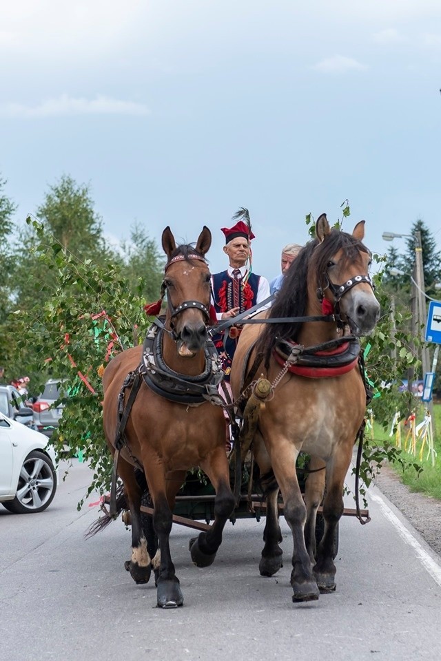 Święto plonów gminy Wieliczka. Tłumy na dożynkach w Golkowicach [ZDJĘCIA]