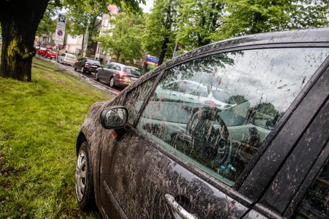 W ciągu dnia na terenie Wielkopolski wystąpią burze z gradem