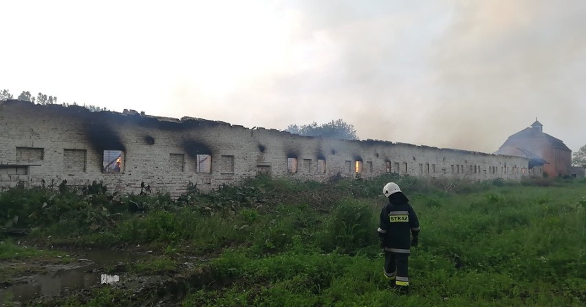Pożar pustostanu w miejscowości Dochowo. Strażacy walczyli z oginem