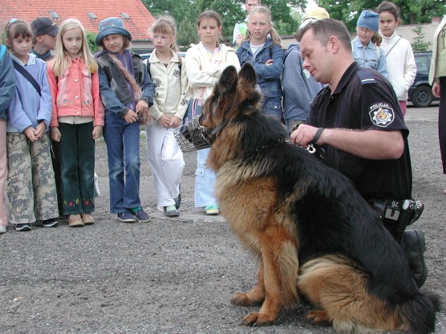 Na dzieciach ogromne wrażenie zrobiły umiejętności policyjnych psów. O swoim podopiecznym opowiadał m.in. Tomasz Chadysz.