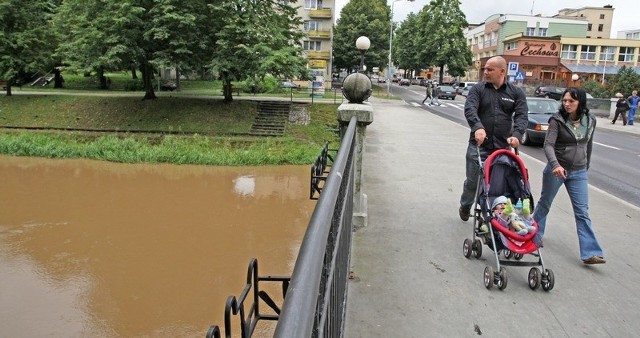 Słupia na wysokości Mostu Kowalskiego w Słupsku.