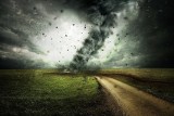 IMGW ostrzega przed silnym wiatrem w Tarnobrzegu, Stalowej Woli, Nisku i powiatach. Jest groźnie. Jaka pogoda w święta?