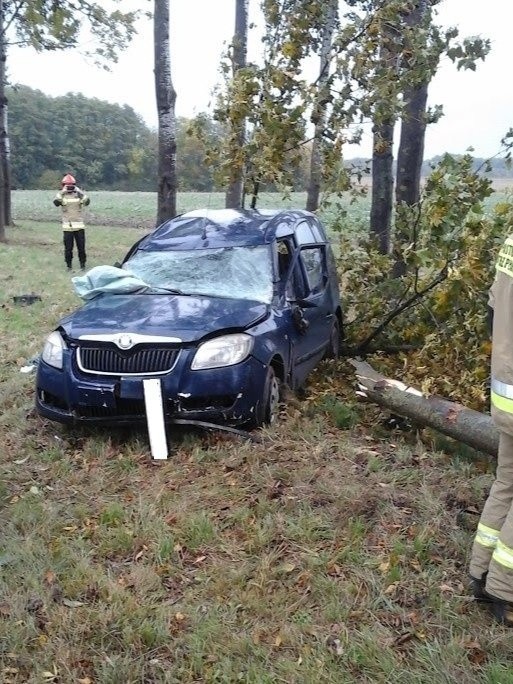 Knorydy. Skoda uderzyła w drzewo na DK19. Kierująca trafiła do szpitala [ZDJĘCIA]