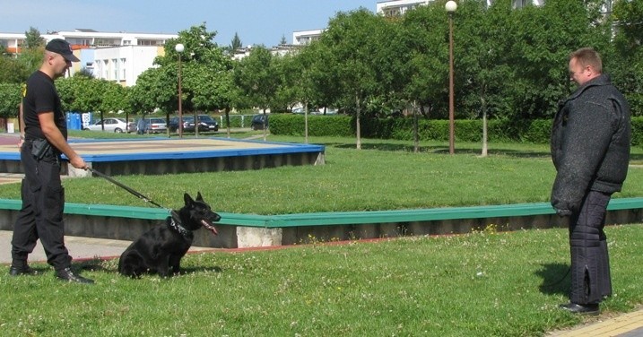 Psy ćwiczyły obezwładnianie ludzi (zdjęcia)