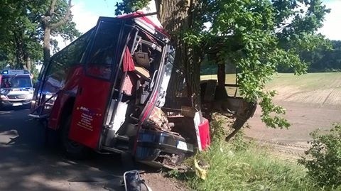 Pod Stargardem autobus uderzył w drzewo. Kierowca zmarł na miejscu