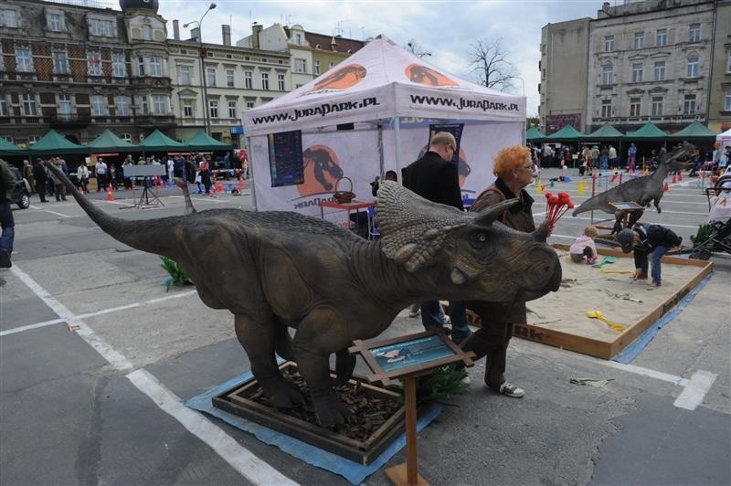 Piknik naukowy na placu Kopernika w Opolu.