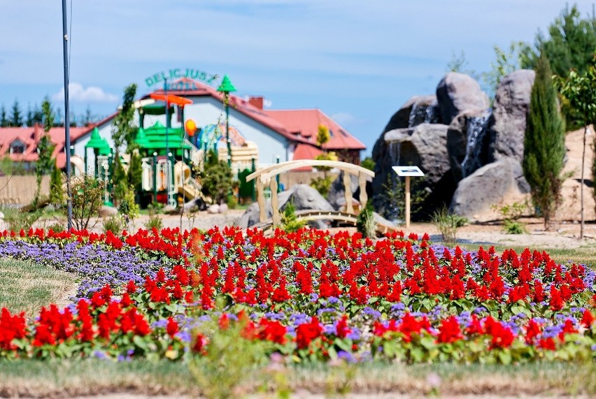 Turystyczne hity Wielkopolan. Zwycięzcą plebiscytu Deli Park - park edukacyjno-rozrywkowy