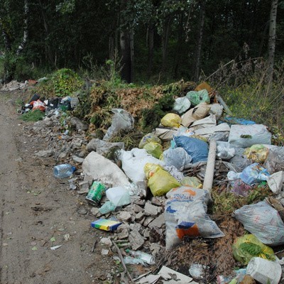 Śmiecący nie mają żadnych skrupułów. Odpady wyrzucają np. na drogę leśną przy cmentarzu blisko ul. Żyznej.