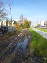 Nowa  ulica Kościuszki, a  tuż  obok - bagno!
