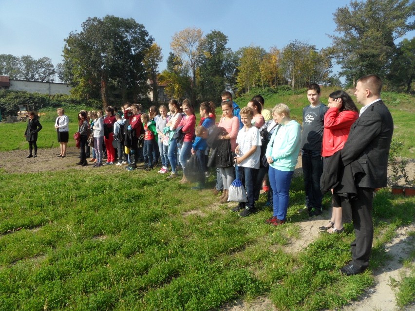 Zabrze rekultywuje stare zwałowiska. Posadzili drzewa na hałdzie [ZDJĘCIA]