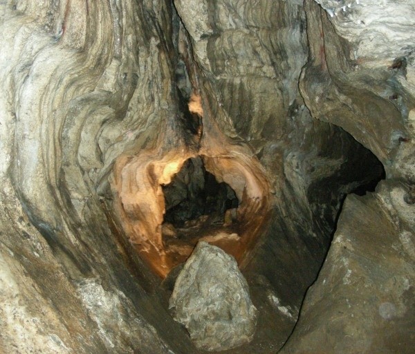 Jaskini na Spiczaku, gdzie znaleziono chore sztuki.