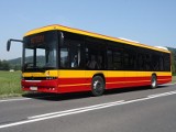 Autobusy dla Rzeszowa z Sanoka i Turcji?