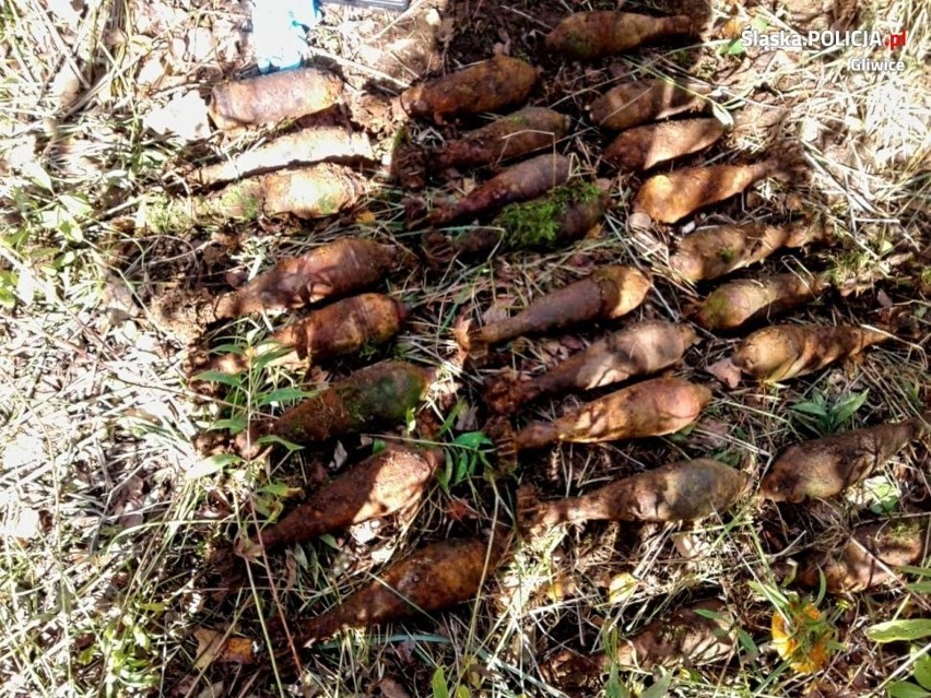 Grzybiarz zamiast borowików znalazł... 25 granatów moździerzowych ZDJĘCIA
