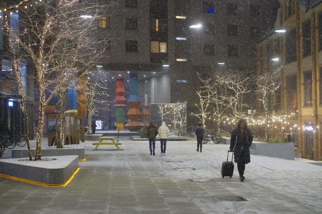 W czwartek, 9 grudnia wieczorem w Poznaniu padał obfity śnieg. W mgnieniu oka miasto pokryło się białym puchem. Według prognozy IMGW jeszcze więcej śniegu ma spać w nocy - nawet do 6 cm. Zobacz jak prezentuje się Poznań zasypany śniegiem na zdjęciach naszego fotoreportera. Zobacz zdjęcia --->