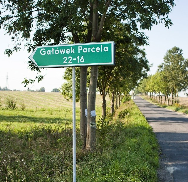 Jeśli zmiany wejdą w życie, gmina Brzeziny "wzbogaci się" o fragment Przanówki i drogę dojazdową od Gałkówka Parceli do Gaju.