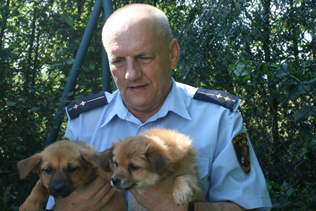 Tadeusz Frasunek znany jest mieszkańcom gminy Wadowice głównie  z opiekowania się bezpańskimi lub zagubionymi psami