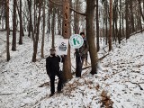 Krzeszowice, Zabierzów. Nowy plan urządzenia lasu. Czas na dyskusje o wycince drzew, prześwietlaniu, gospodarowaniu