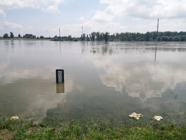 Przez Sandomierz przechodzi dziś fala kulminacyjna.  Woda w Wiśle  osiągnęła dziś poziom 550 centymetrów. Oznacza to, że nie przekroczy stanu alarmowego - 610 centymetrów.