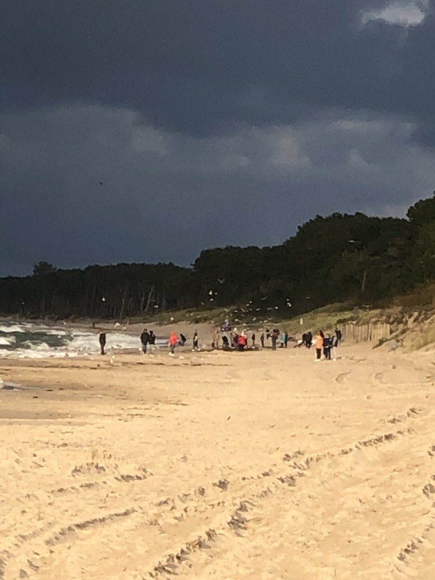 Morze wyrzuciło na plażę w Mielnie trzy podejrzane beczki