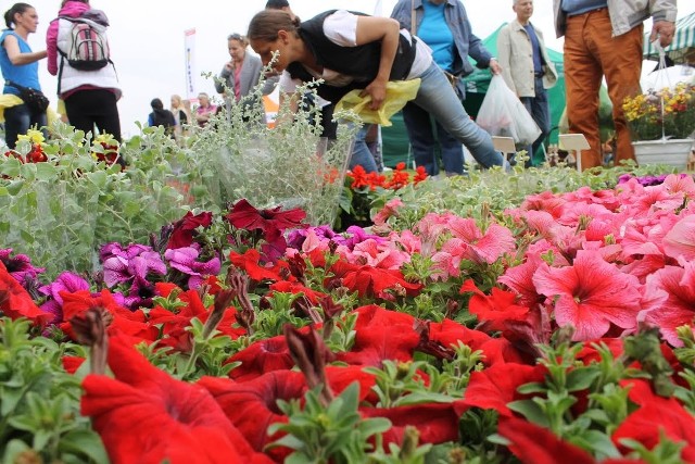 Wiosna Kwiatów w Łosiowie. W weekend będzie aż 200 wystawcówTargi ogrodnicze w Łosiowie to jedna z największych imprez tego typu w południowej Polsce o tej porze roku.