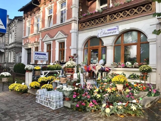 Ogrodnicy, kwiaciarki  zostali z chryzantemami.  Urząd nie odkupi kwiat&oacute;w. Można liczyć na umorzenia podatk&oacute;w.