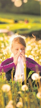 [ZDROWIE] Sprawdź, czym się objawia alergia i jak sobie z nią radzić