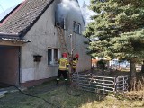 Pożar domu jednorodzinnego w Białogardzie. Jedna osoba poszkodowana [ZDJĘCIA]