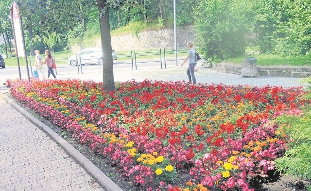 Pracownicy Zarządu Usług Komunalnych liczą, że kompozycje z kwiatów spodobają się stargardzianom. Jak choćby ta przy wejściu do parku Chrobrego od strony ulicy św. Jana Chrzciciela