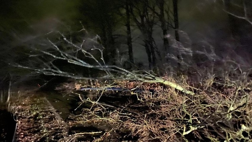 Huragan szaleje w powiecie wejherowskim. Przewrócone wiaty przystankowe, pozrywane dachy, połamane drzewa | AKTUALIZACJA, ZDJĘCIA